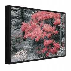 Tableau dans un cadre noir sur toile : forêt grise, nature, salon, chambre à coucher, 40 x 30