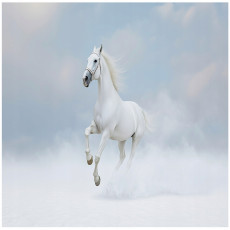 Papier peint cheval blanc nuages animaux pour la chambre à coucher salon 200x140