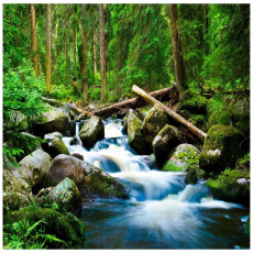 Papier peint photo cascade 3D forêt nature pour chambre à coucher salon papier peint mural 400x280 14724