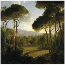 Papier peint forêt nature arbres chambre salon papier peint intissé 150x105