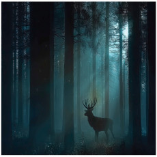 Papier peint forêt cerf animaux nature pour mur chambre salon 150x105