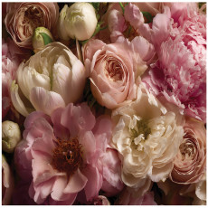 Papier peint photo fleurs pivoines roses chambre salon papier peint intissé 250 x 175