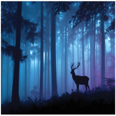 Papier peint photo : forêt, brouillard, cerf, nature, chambre à coucher, salon, papier peint intissé, 200 x 140