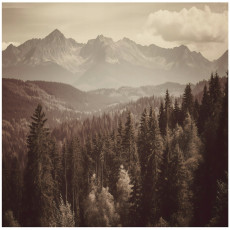 Papier peint photo forêt montagnes paysage chambre salon papier peint intissé 250x175