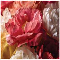 Papier peint fleurs pivoines roses chambre salon papier peint intissé 250x175