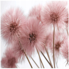 Papier peint photo rose naturel 3D pour la chambre à coucher ou le salon 300x210