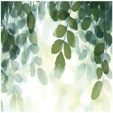 Papier peint photo feuilles vertes nature chambre salon papier peint intissé 250x175