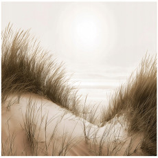 Papier peint photo plage mer désert paysage pour la paroi chambre salon 200x140