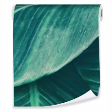 Papier peint à feuilles vertes pour le salon papiers peints muraux