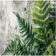 Papier peint feuilles de fougère vert béton pour chambre à coucher salon papier peint 150x105