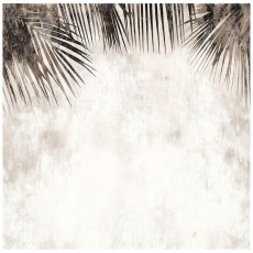 Papier peint feuilles de palmier béton bohème cuisine chambre salon papier peint 350x250