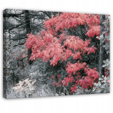 Tableau représentant une forêt, des arbres et la nature, dans des tons de gris et de rouge, pour la chambre ou le salon, sur toile, 40 x 30