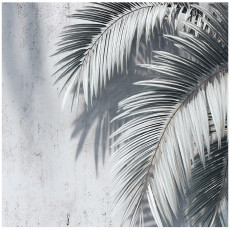 Papier peint feuilles de palmier béton chambre salon papier peint intissé 150x105