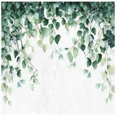 Papier peint photo feuilles vertes nature cuisine chambre salon papier peint 400x280