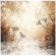 Papier peint arbre forêt bohème beige sur intissé chambre salon papier peint 150x105