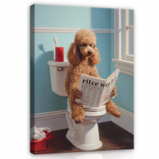 Tableau pour la salle de bains ou les toilettes : chien caniche rigolo lisant le journal, sur toile, 40 x 30 cm