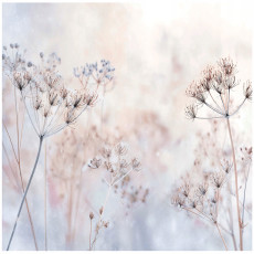 Papier peint photo fleurs bohème nature pour chambre à coucher salon papier peint intissé 300x210