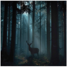 Papier peint forêt cerf animaux pour chambre à coucher salon papier peint intissé 150x105