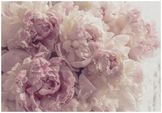 Papier peint fleurs pivoines roses pour chambre &agrave; coucher salon papier peint mural 400x280