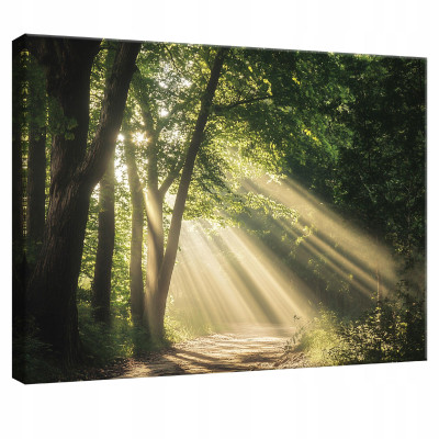 Tableau sur toile mur forêt nature arbres pour chambre à coucher salon cuisine 60x40