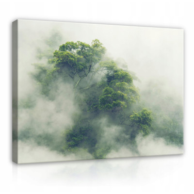 Peinture sur toile forêt dans le brouillard nature jungle 100x70