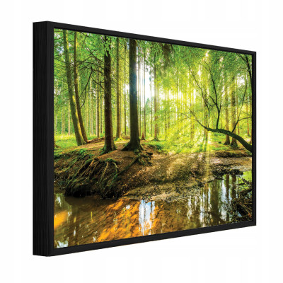 Tableau dans un cadre noir sur toile forêt arbres nature salon chambre à coucher 100x70