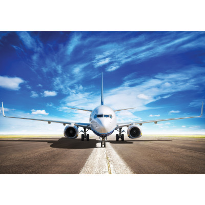 11390 - avion