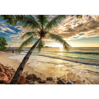 11732 - plage