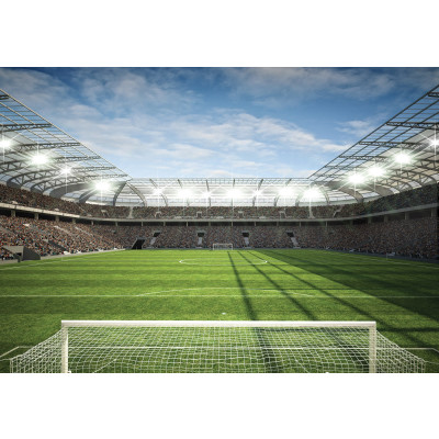 11798 - stade