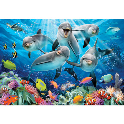 12849 - dauphins - selfies