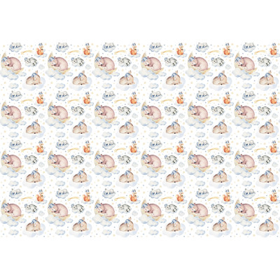 13672 - animaux endormis