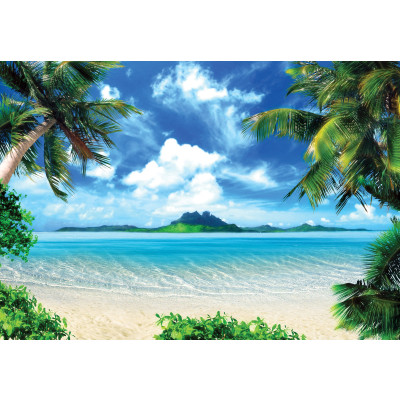 14604 - nature, plage, océan, ciel