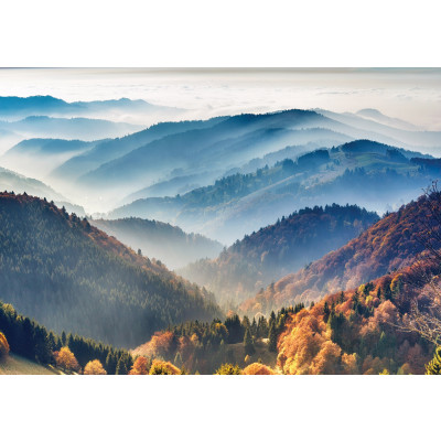 14629 - paysage, nature, montagnes, forêt