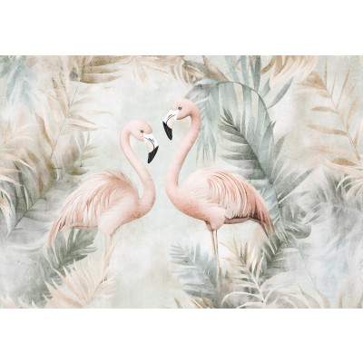 15384 - nature, plantes, oiseaux, flamants roses