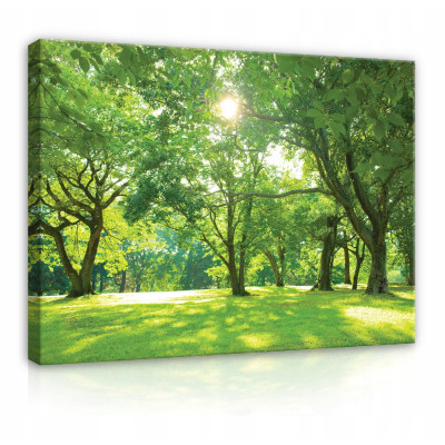 Peinture sur toile représentant un arbre, une prairie et la nature, grand format 100 x 70