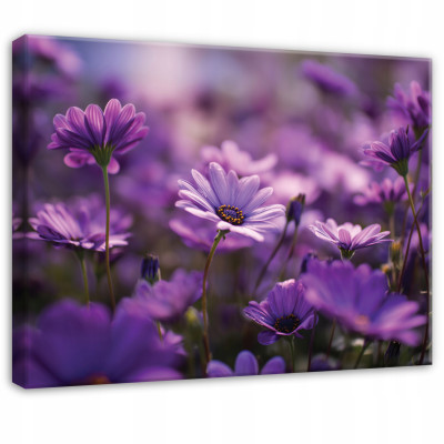 Tableau fleurs des champs prairie violette pour chambre à coucher salon sur toile 40x30