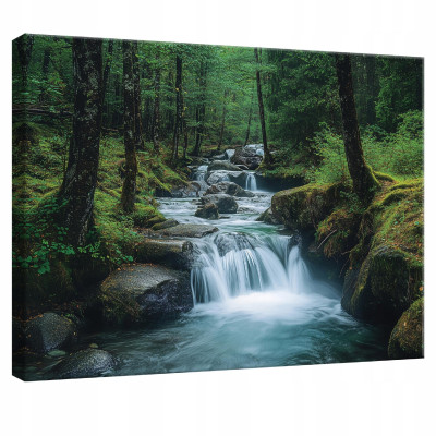 Tableau sur toile mur cascade forêt vue pour chambre salon cuisine 100x70
