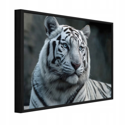 Tableau dans un cadre noir sur toile tigre animaux salon chambre à coucher 40x30