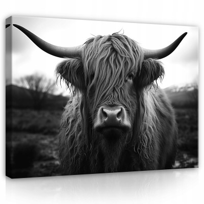 Tableau sur toile murale vache écossaise pour chambre à coucher salon moderne 40x30