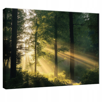 Tableau sur toile mur forêt nature arbres pour chambre à coucher salon cuisine 120x80