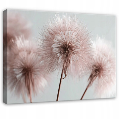 Tableau fleurs de pissenlits nature rose pour chambre à coucher salon sur toile 60x40
