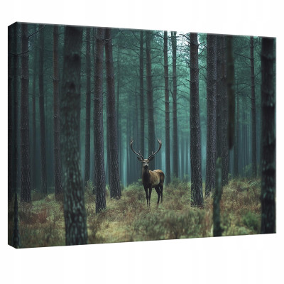 Tableau pour chambre à coucher, salon, cuisine, cerf, nature, forêt, sur toile, mur, 120 x 80