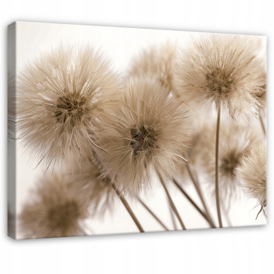 Tableau fleurs de pissenlit bohème nature pour chambre à coucher salon sur toile 120x80
