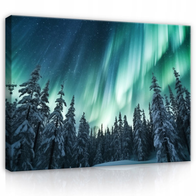 Image aurore forêt turquoise nature nuit sur toile mur chambre salon 100x70