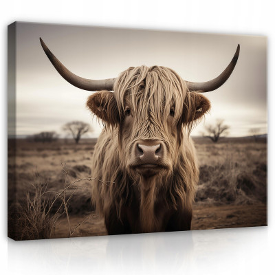 Tableau sur toile murale vache écossaise moderne pour chambre à coucher salon 100x70