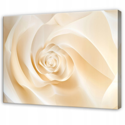 Tableau abstrait représentant des fleurs et des roses, couleur beige, pour la chambre ou le salon, sur toile, 60 x 40 cm