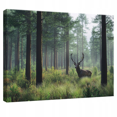 Tableau pour chambre à coucher, salon, cuisine, cerf, nature, forêt, sur toile, mur, 40 x 30
