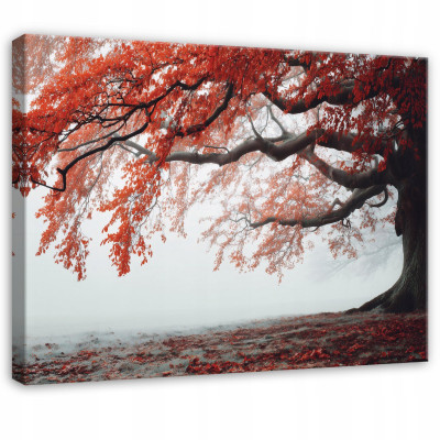 Tableau arbre nature paysage brouillard pour chambre à coucher salon sur toile 60x40