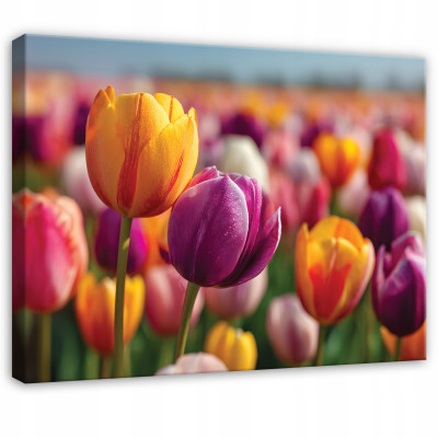 Tableau fleurs tulipes nature prairie pour chambre à coucher salon sur toile 100x70