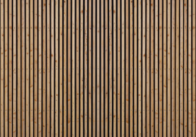 Papier peint lamelles bois panneaux chêne scandinave moderne salon